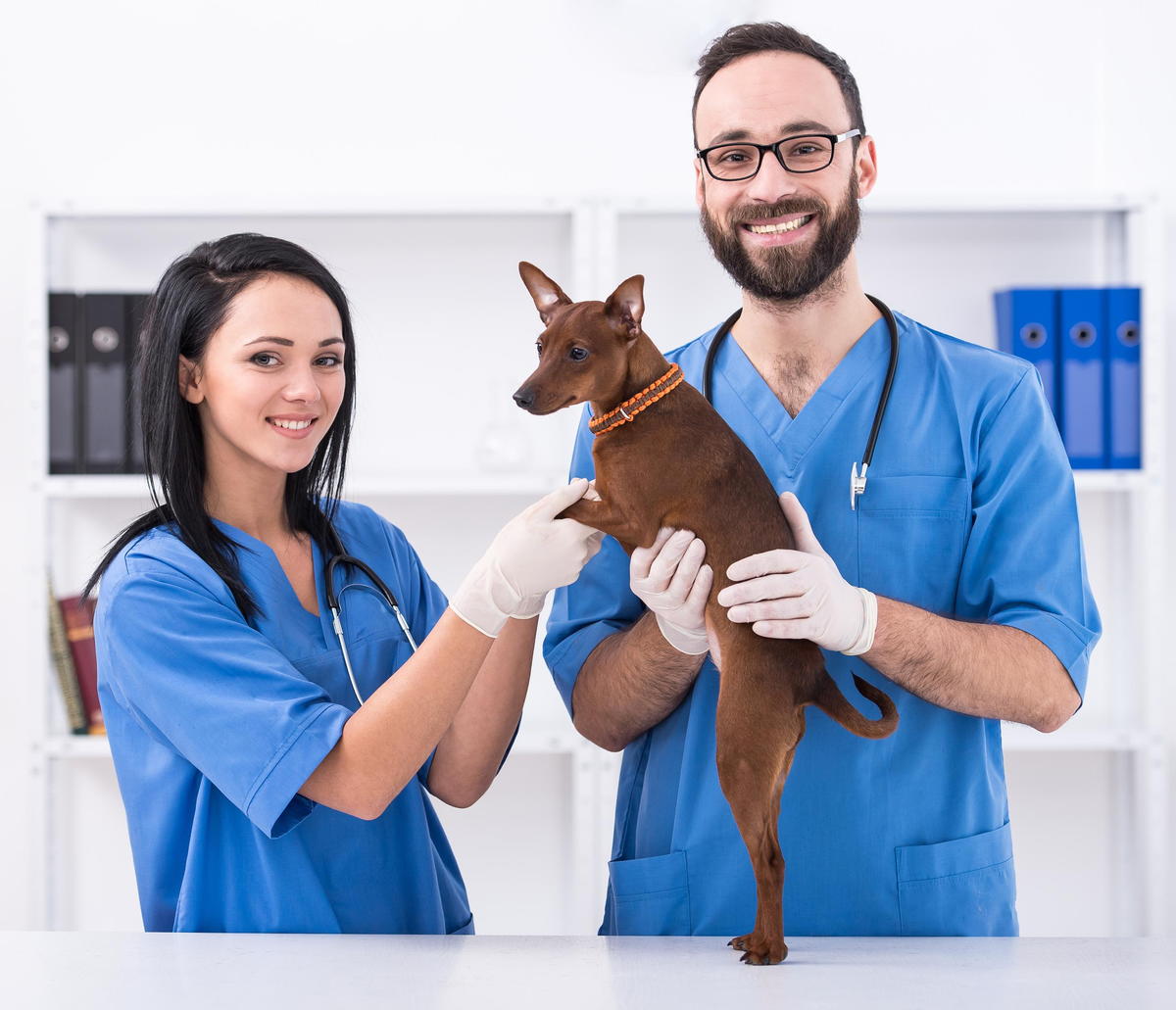 pet vaccinations from your veterinarian in collierville