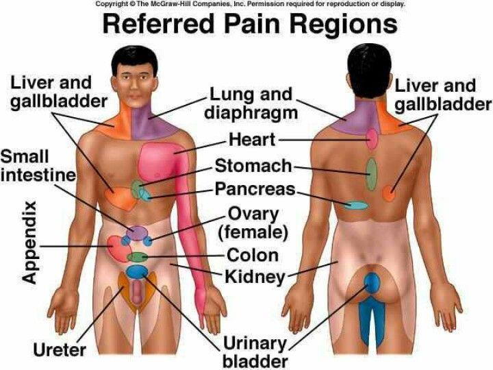 gallbladder referred pain