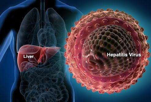 Factoid Friday: Hepatitis A