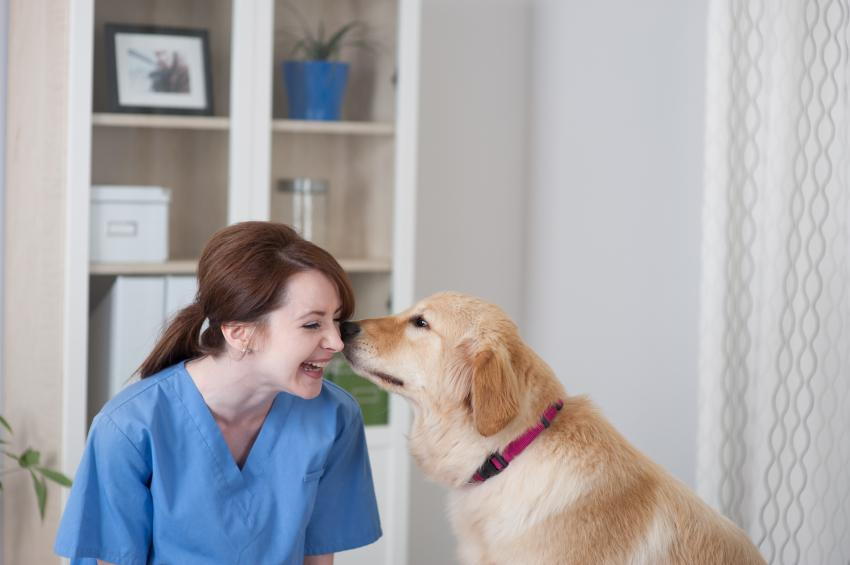 dog-with-veterinarian-in-north-austin-and-pflugerville