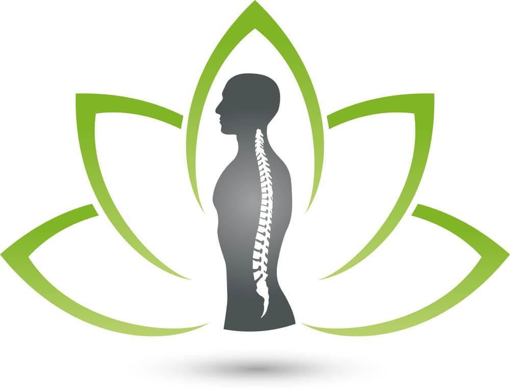 chiropractic care and the immune system