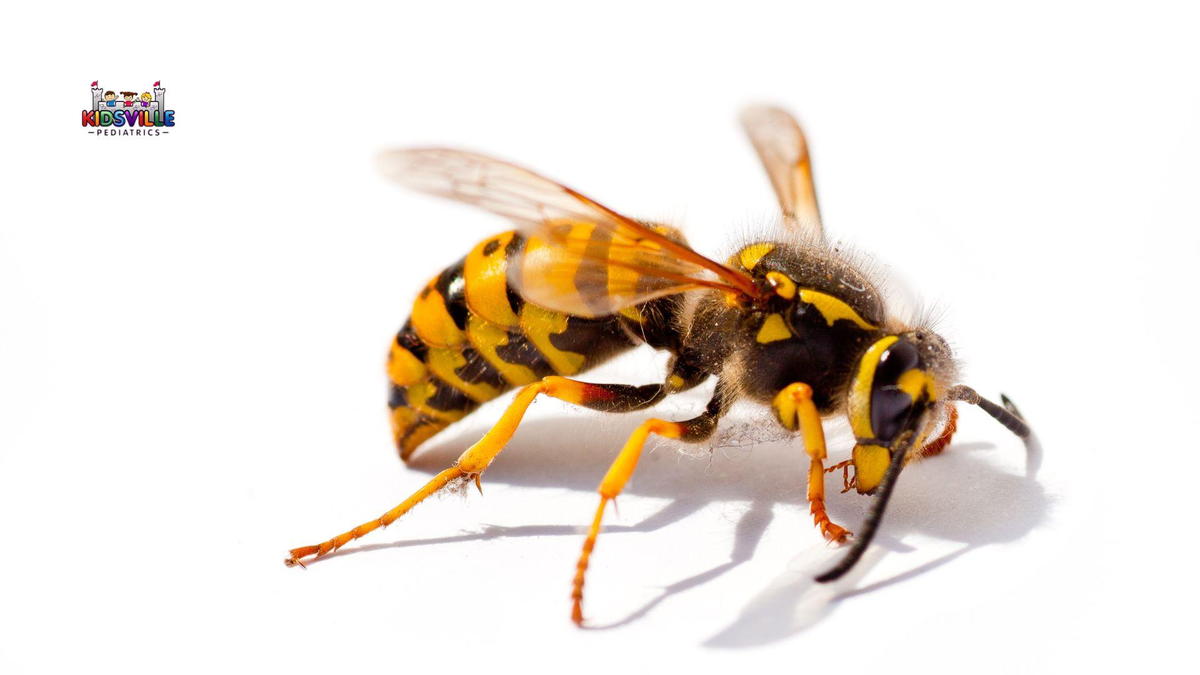 A yellow and black wasp perched on a white background, showcasing its vibrant colors and distinct markings.