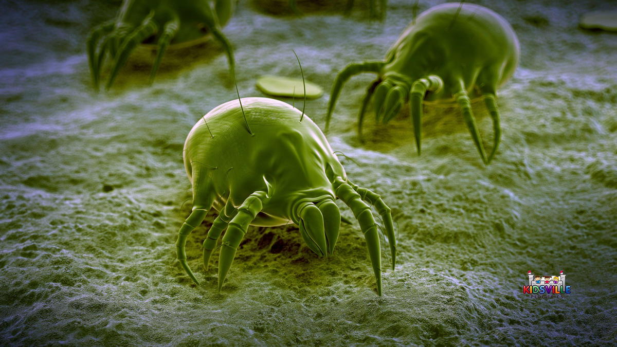 Green dust mites enlarged.