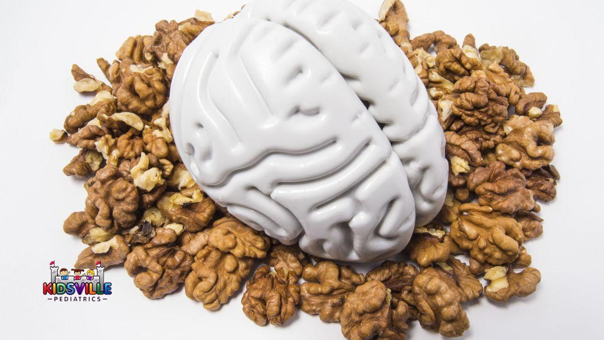 A ceramic representation of a brain and walnuts arranged on a white surface, symbolizing the connection between nutrition and cognitive health.