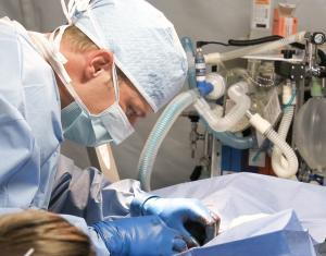 Veterinarian performing surgery with anesthesia equipment