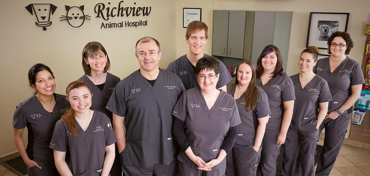 The Richview Animal Hospital Team