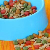 Pet Food in bowl