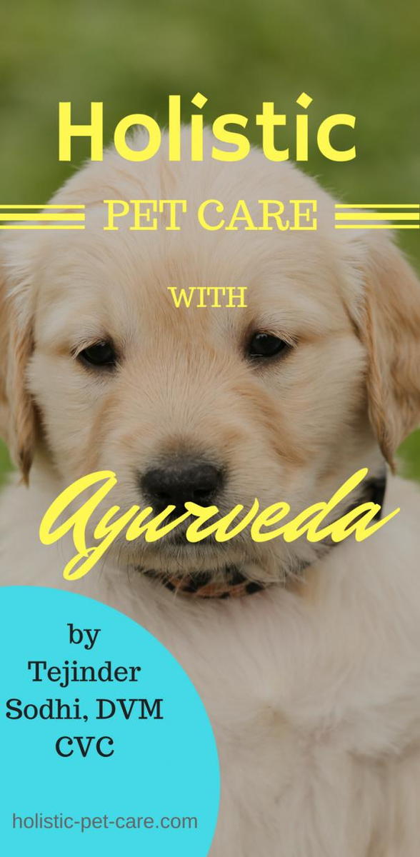 Holistic Pet Care with Ayurveda