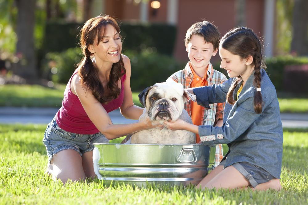 family washing dog outdoors