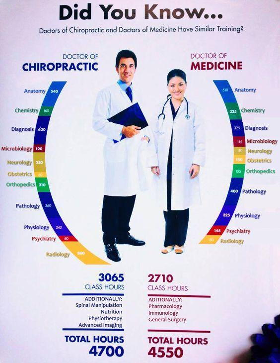 how-to-become-a-chiropractor-required-education-for-chiropractors