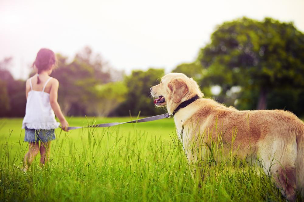 young girl holding her dog on a leash