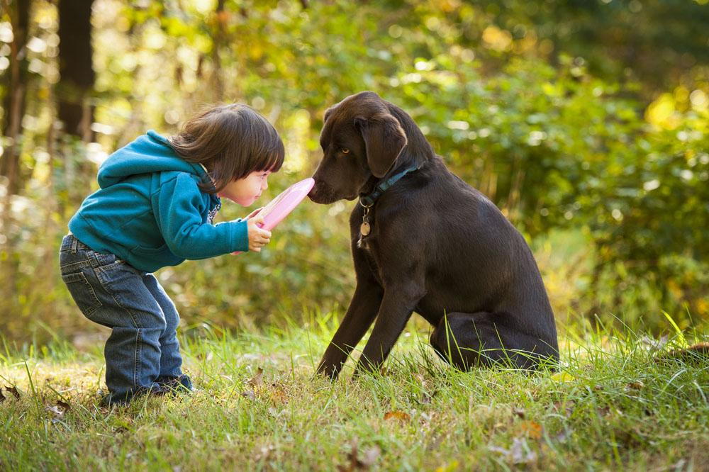 pet exercise