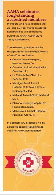 Indianapolis AAHA veterinarian