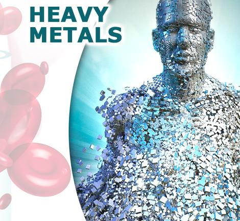 heavy metal in food sources