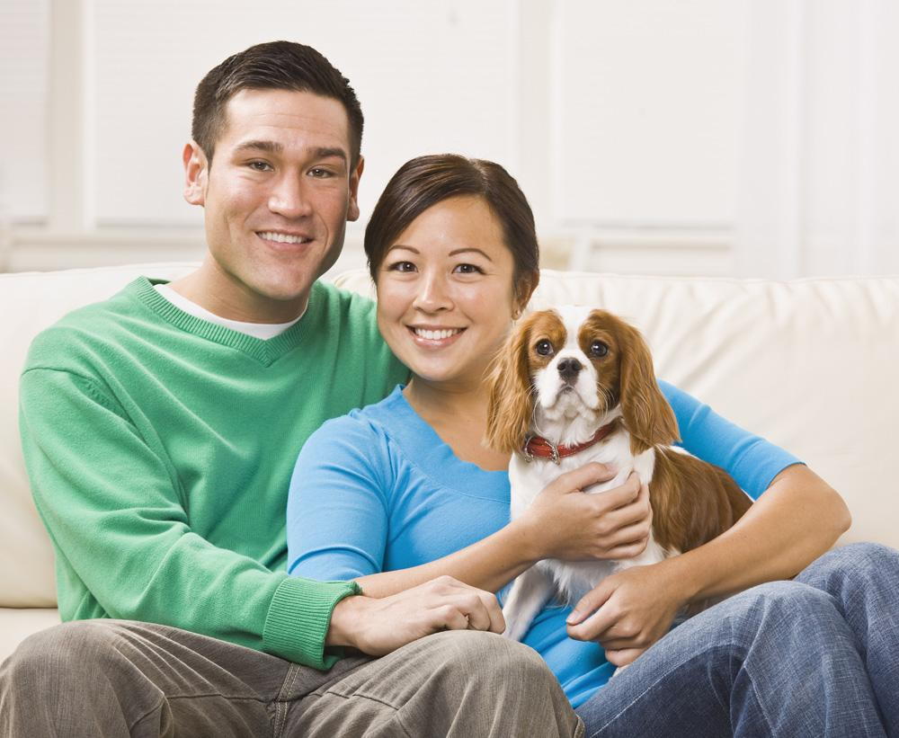 happy couple holding a small dog