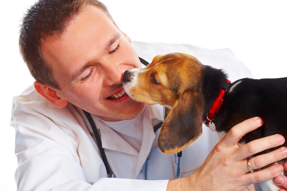 national heartworm awareness month from your veterinarian in brooklyn