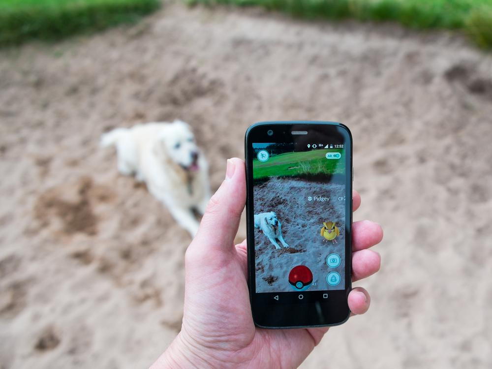 pokemon go pet safety in Winston-Salem, NC