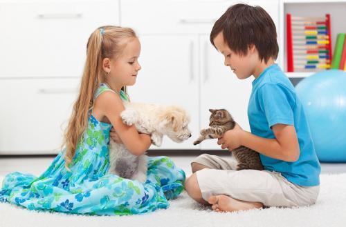 child dealing with pet loss