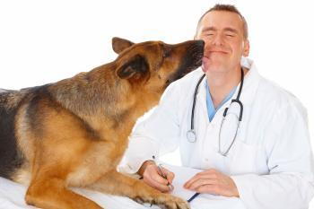 Dog-licking-a-vet
