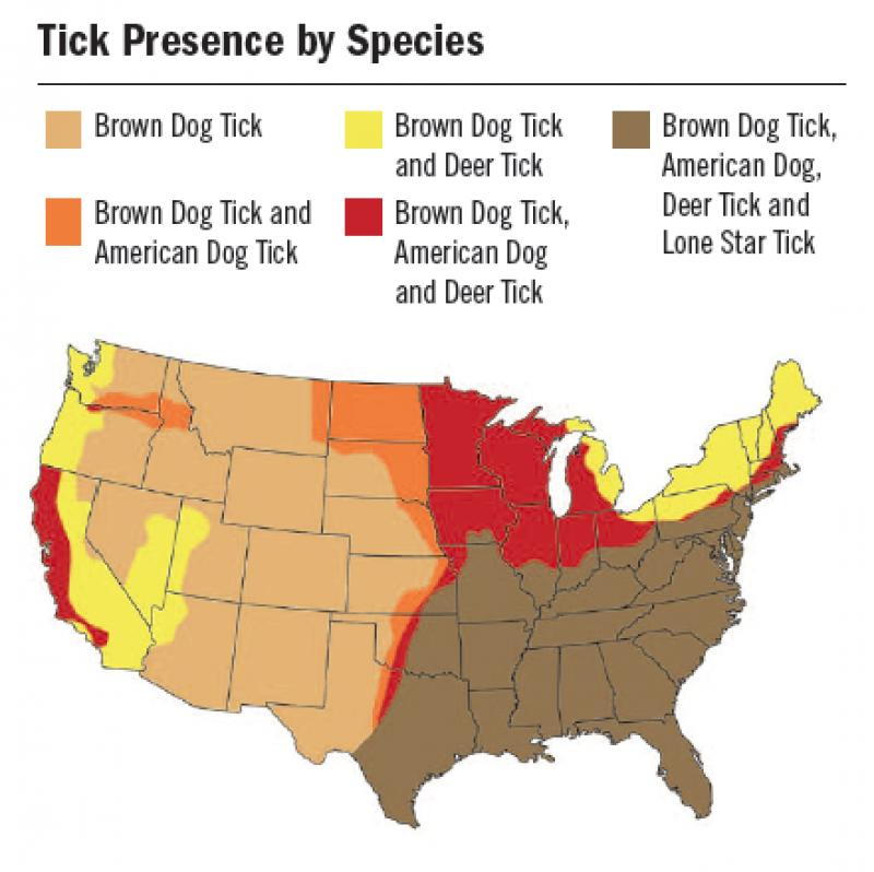 Tick presence by species in the U.S.