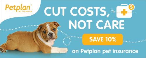 Petplan