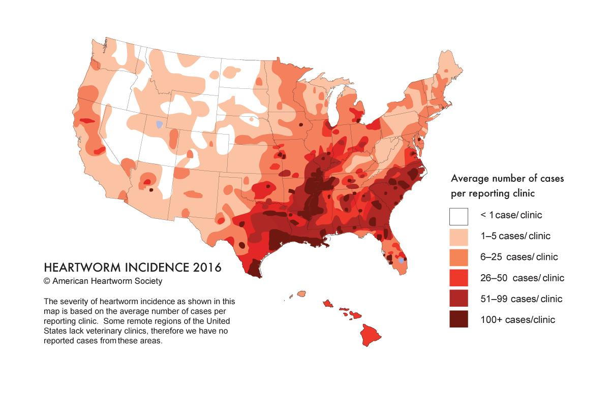 Heartworm Disease Map