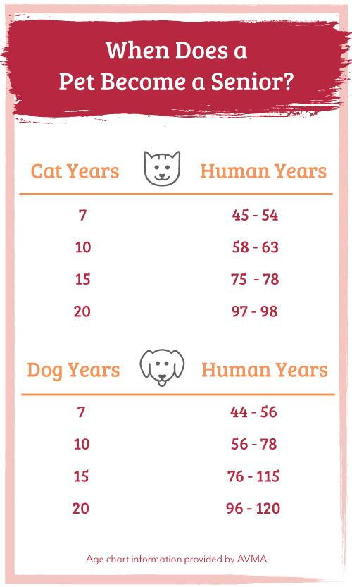 When Does a Pet Become a Senior - Age Comparison Chart