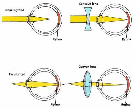 Things Your Eyes Do Why Doesn T Everyone See