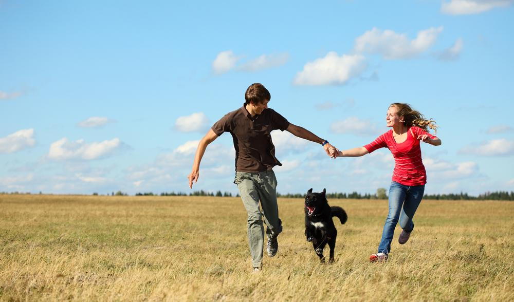 man and woman running with their dog in a field