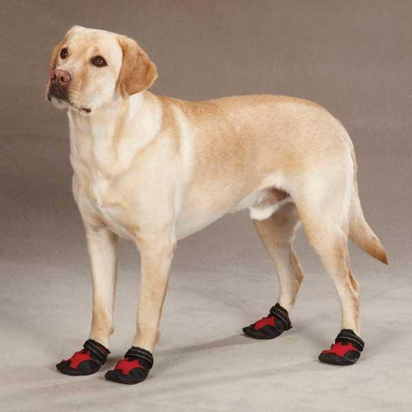 Dog boots