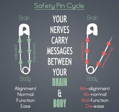 The role of your chiropractor is to detect and locate such disconnect