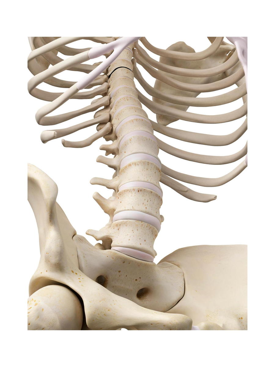 I Have A Rib Out Of Place What Do I Do And How Do I Treat It Gallatin Valley Chiropractic Bozeman Mt Back And Neck Pain Whiplash More