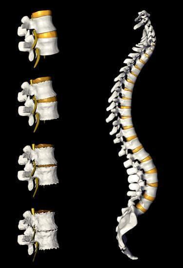 What is spinal decay, what are the phases of spinal decay. Gallatin Valley Chiropractic bozeman montana