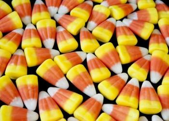 Candy corn is bad for dogs and cats.” class=