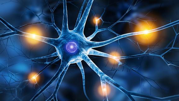 Image of nerve synapses lighting up
