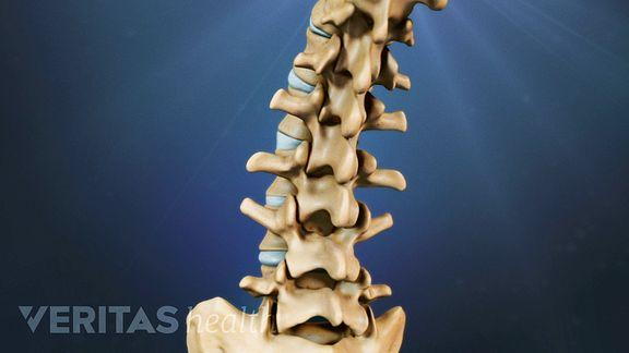 soft-tissue-spinal-movement.jpeg?u=at8tiu&use=idsla&k=c