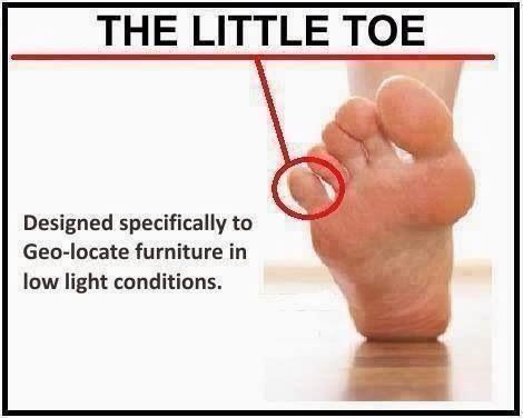 Image result for toe jokes