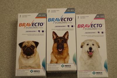 bravecto flea and tick treatment in red lion