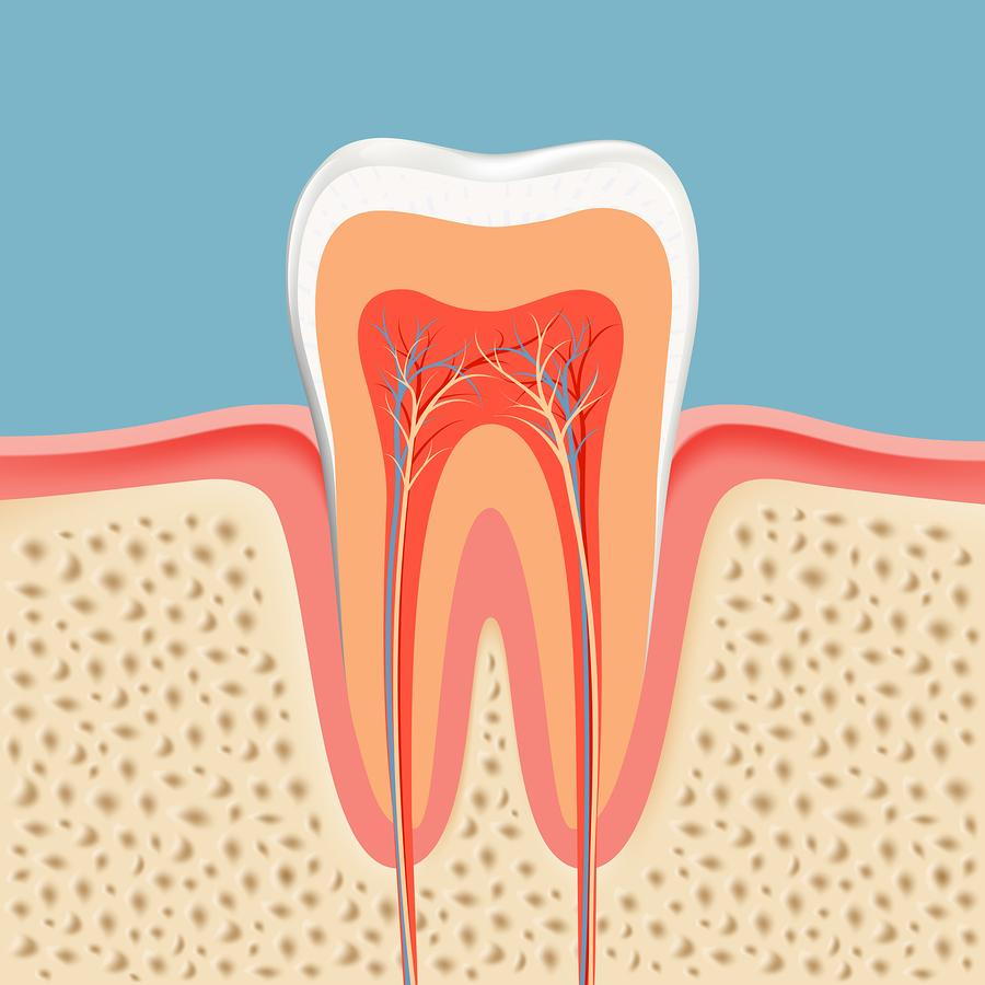 root canals